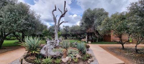Otavi Casa | Olienhoff Guesthouse and Rest Camp