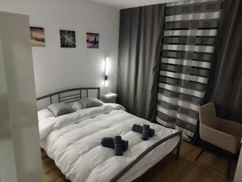 Lupeni Apartamento | Olive Apartment