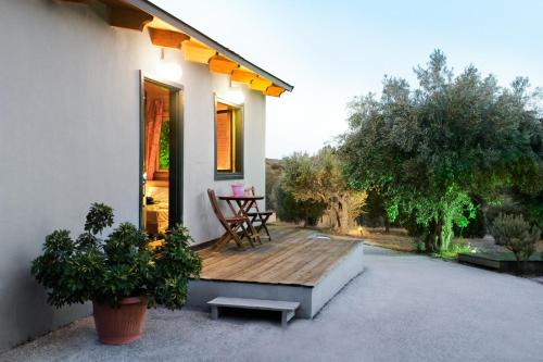 Metochi Casa | Olive Grove