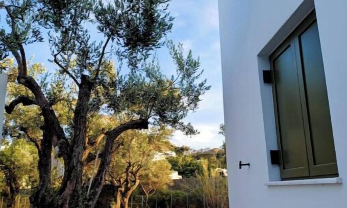 Skiros Villa | OLIVE GROVE VILLA SKYROS ISLAND