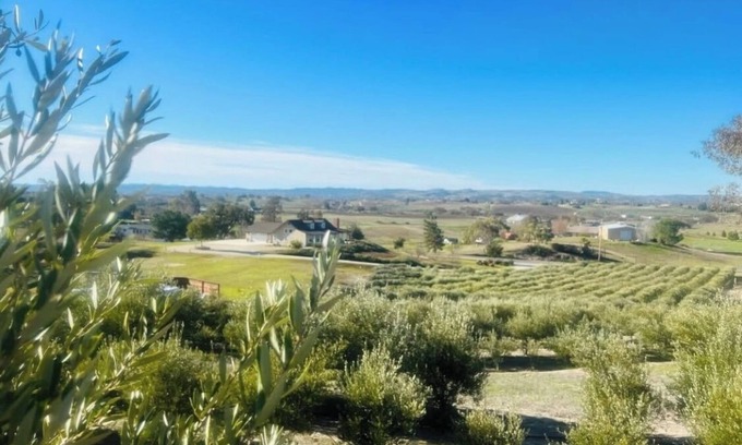 Paso Robles Casa | Olive Ranch Gem with Views!