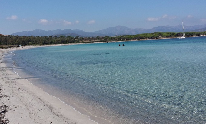 Tanaunella Apartamento | Olivo * Estudios * a 800 m del mar en Tanaunella Budoni.