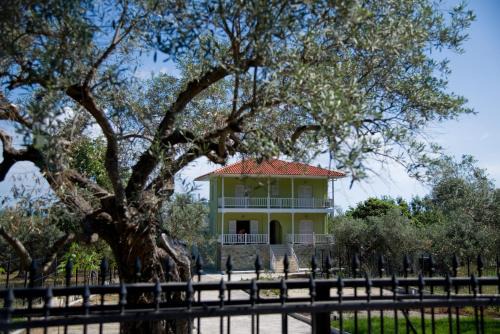 Vourvourou Apartamento | Olivegrove House