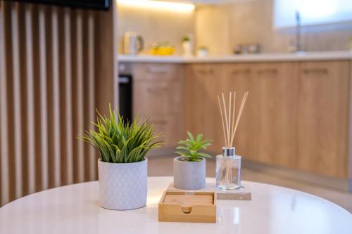 Zipari Apartamento | Olivo Home