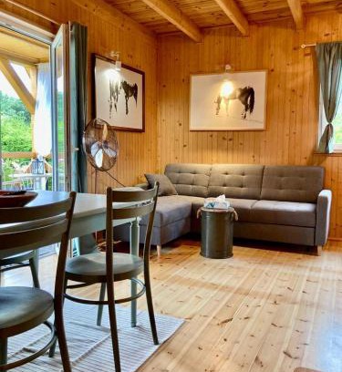 Sasino Chalet De Esquí | Oliwkowy gaj