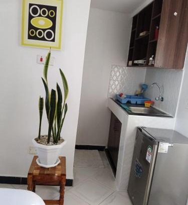 Viwanda Apartamento | Olosotua homes