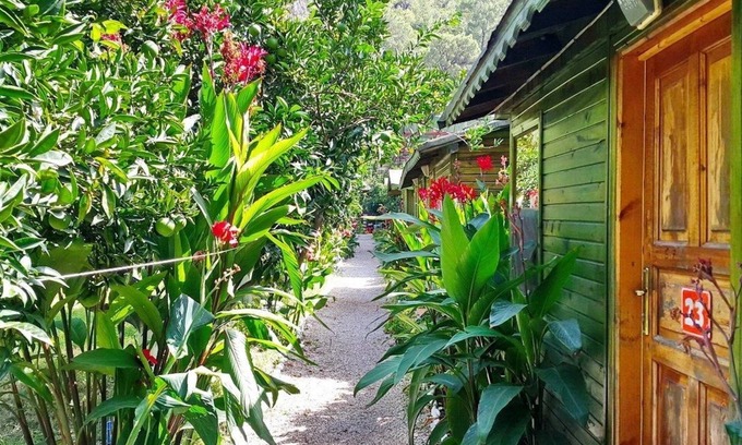 Olympos Casa | Olympos Tatilya Pansiyon