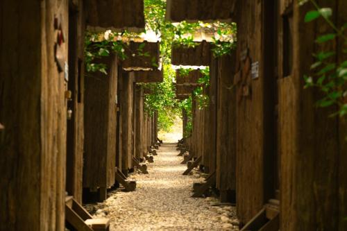 Olympos Complejo | Olympos Yakamoz Pansiyon