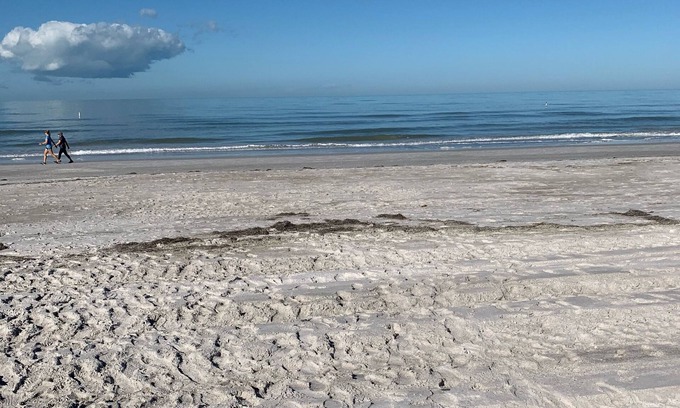 Belleair Beach Condominio | ... tu unidad soñada está aquí