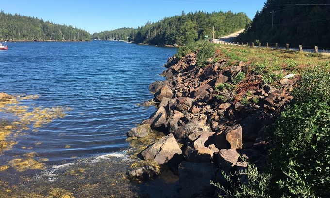 Upper Blandford Cabaña | En la hermosa costa sur, cerca de Chester y Hubbards, Ns