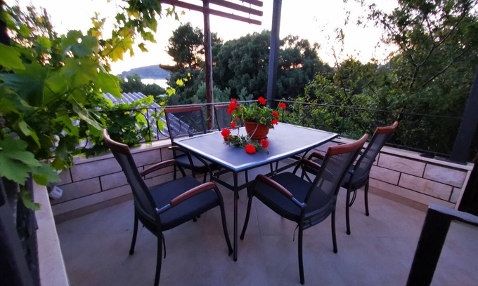 Drvenik Mali Apartamento | Apartamento de una habitación con terraza y vista al mar Drvenik Mali, Drvenik (A-16787-c)