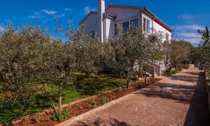 Susica Apartamento | One Bedroom Apartment with Terrace (owner Cvita 2)