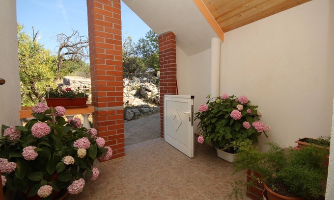 Island Dugi Otok Apartamento | Apartamento de una habitación con una terraza Sali, Dugi otok (A-8153-a)