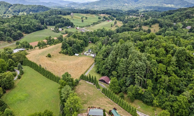 Asheville Cabina | One Bedroom Cabin 43 Acre Retreat Pets OK-Fenced, Private, Views, Internet