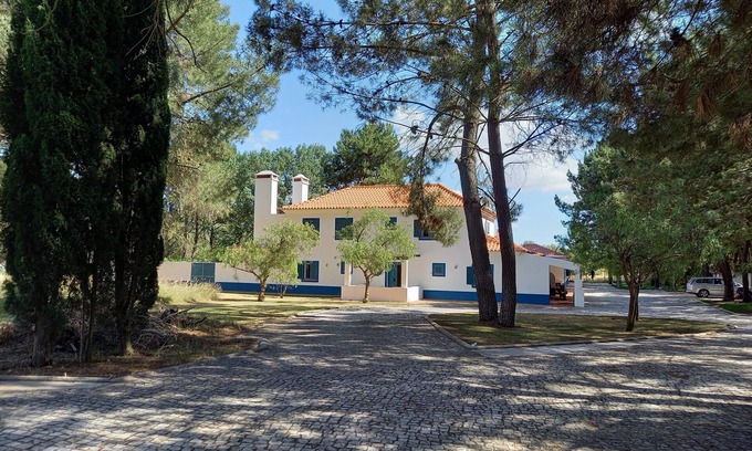 Alcacer do Sal Apartamento | One-Bedroom Suite