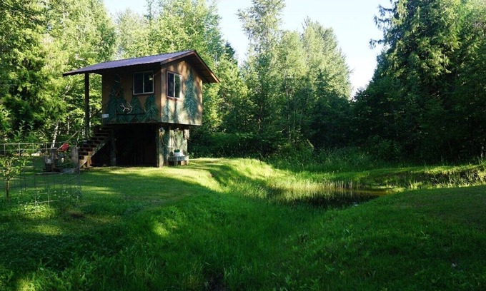 Sandpoint Apartamento | One-room elevated wildlife viewing cabin with a twin bed, chairs, and a small food warming area.