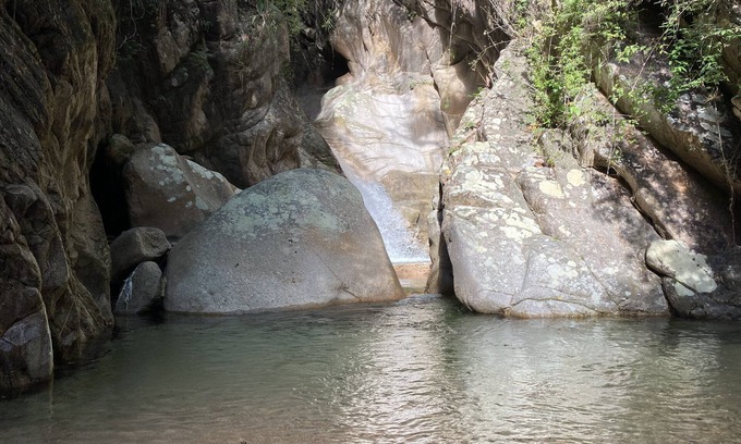 Fluvial Vallarta Casa | Only 6 km south of Puerto Vallarta the Dragon Fly House is located in Nogalito