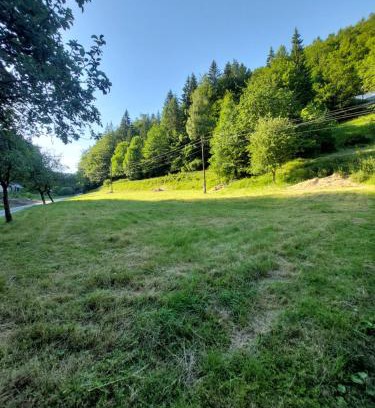 Kolarovice Otro | Only Meadow - place for camping