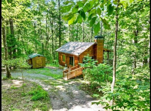 Blue Ridge Casa | Open Studio Lodge at Little Rock Creek