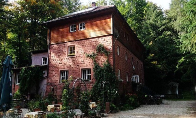 Wachenheim an der Weinstrasse Cama Y Desayuno | Oppauer Haus - 102 Vierbettzimmer, Dusche, WC