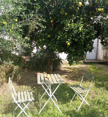 Sao Goncalo Apartamento | Orange tree apartment