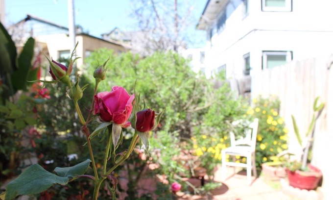 Bankers Hill Condominio | Orange Tree Cottages Downtown