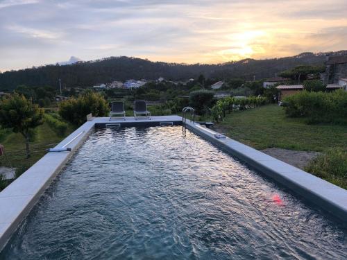 Castro Daire Complejo | ORberry