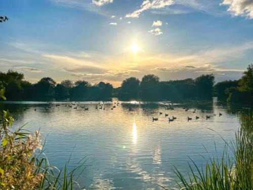 Rochford Casa | Orchard House - Uk48580