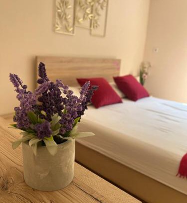 Palilula Apartamento | Orchid House