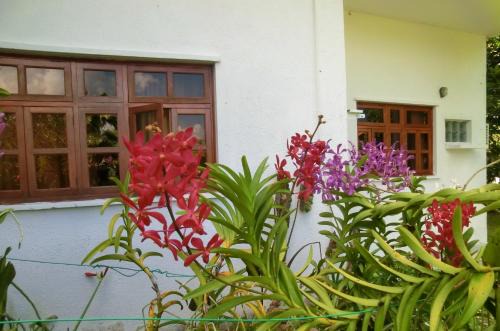 Anse La Mouche Casa | Orchid Sunset Guest House
