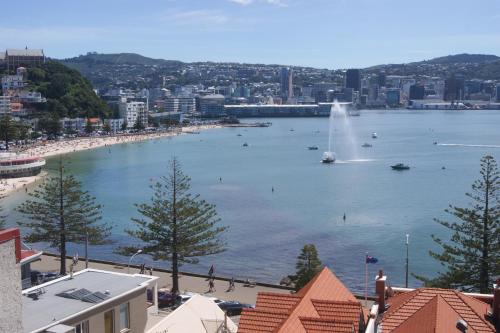 Oriental Bay Apartamento | Oriental Bay At Its Best