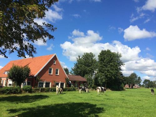 Backemoor Casa | Ostfriesland Ferien Villa - 24 Personen - Sauna, Whirlpool , Kino, und Bar