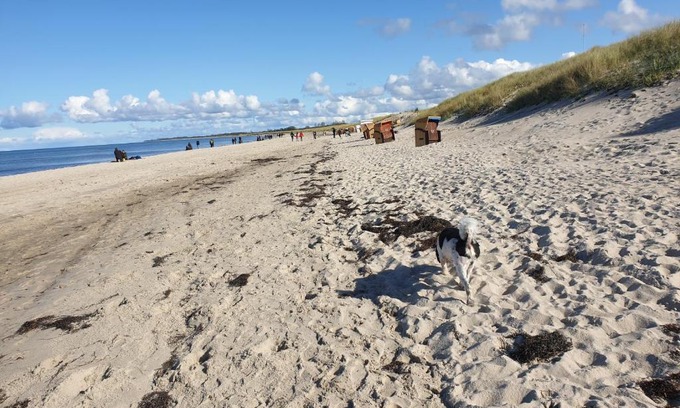 Ribnitz-Damgarten Apartamento | Ostsee, Strand & Me(e)hr erleben, Speziell für Familien, Fe/wo "Sunny" am Bodden/Fischland/Ribnitz