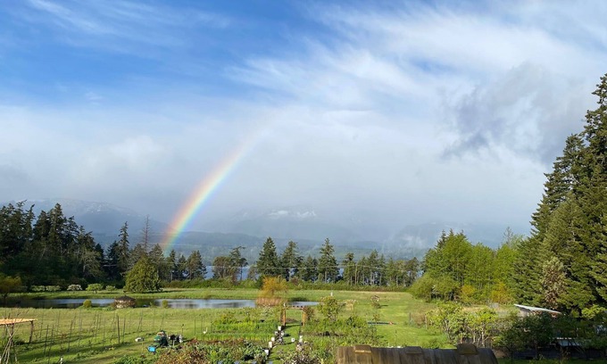 Denman Island Casa | Otter Lake B&B, Denman Island, BC, Canada family friendly, coastal