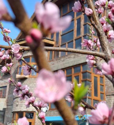 Srinagar Casa | Outsaw cottage