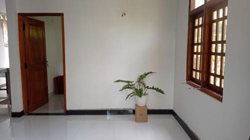 Anuradhapura Casa | Ovinro Rest