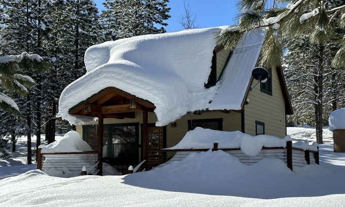 Foresta Cabina | Owl Moon Cabin - Rare jewel of a cabin located inside Yosemite National Park