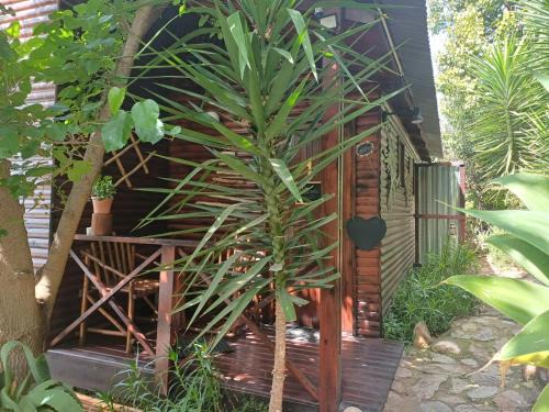 Oudtshoorn Apartamento | Owl's Den 1