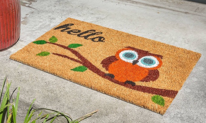 Sunset Casa | Owl's Nest Hideaway - 4 bedroom 2 bath Family Home!