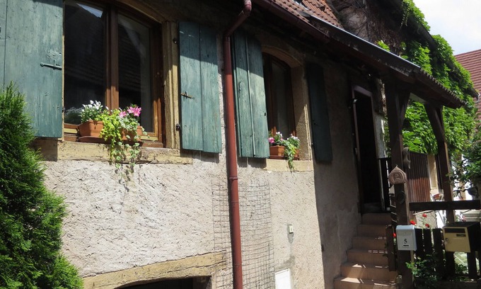 Dambach-la-Ville Casa | Casa típica búho con terraza privada