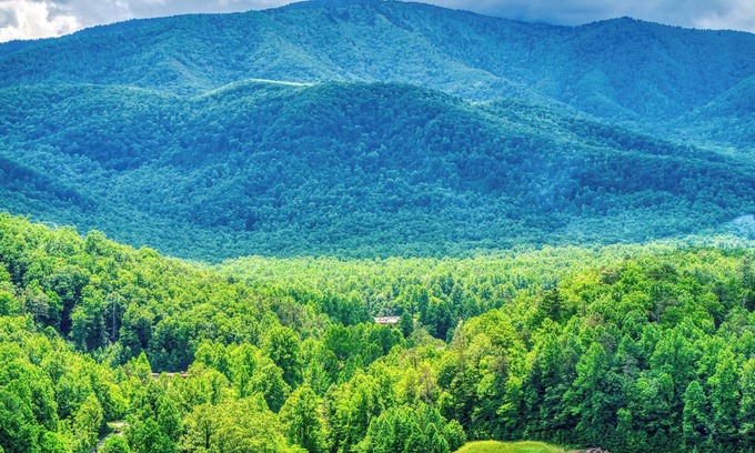 Cosby Cabina | Owners Cabin- WIFI, Pickleball Court, Creek, WIFI, Mtn Views, Starting at $79