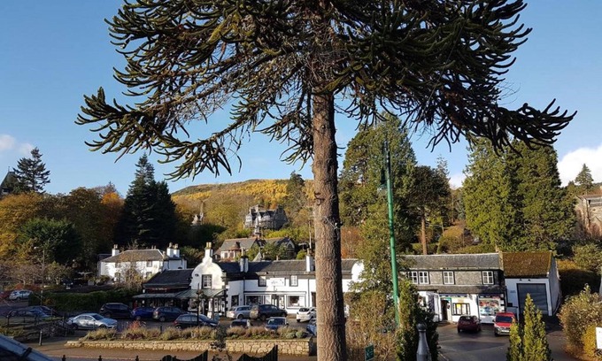 Marybank Hotel | OYO Mackay'S Travel Lodge Hotel