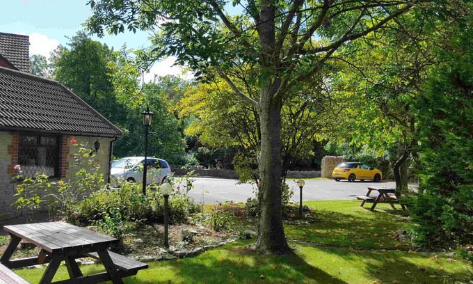 West Camel Hotel | OYO The Walnut Tree
