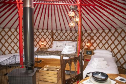 Hawes Casa | Oystercatcher