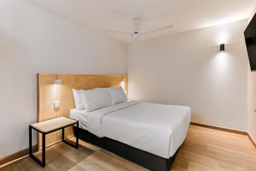 Querétaro Apartamento | Pájaros By Homirent