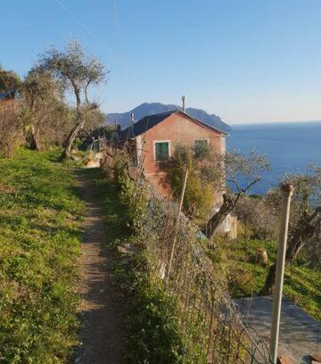 Sori Casa | Pace tra gli ulivi e il mare