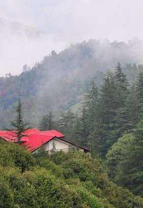 Khattalwada Casa | Pahadi Zayka Homestay