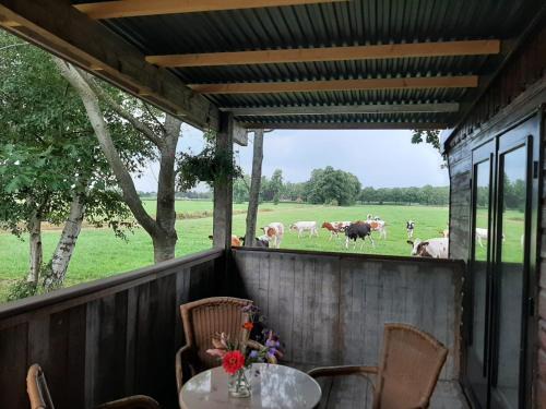 Geesteren Otro | Pak oe rust, bij stacaravan Busscher