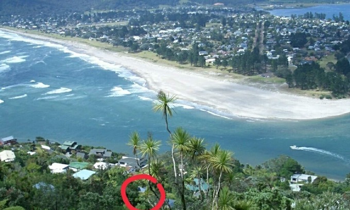 Coromandel Forest Park Cabaña | Paku Escape - Tairua Bach