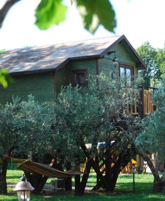 Marano Marchesato Cama Y Desayuno | Palazzo Conforti Tree House Resort